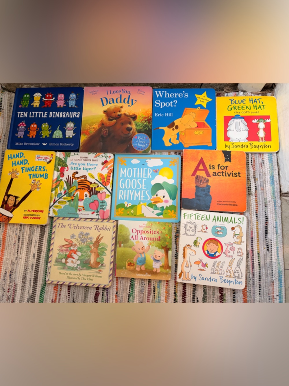 Book bundle 11 books